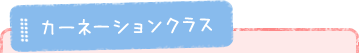 カーネーションクラス